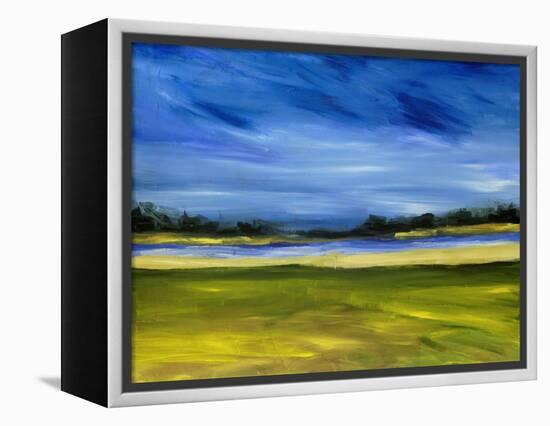 Bright Marsh III-Erin McGee Ferrell-Framed Stretched Canvas