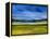 Bright Marsh III-Erin McGee Ferrell-Framed Stretched Canvas