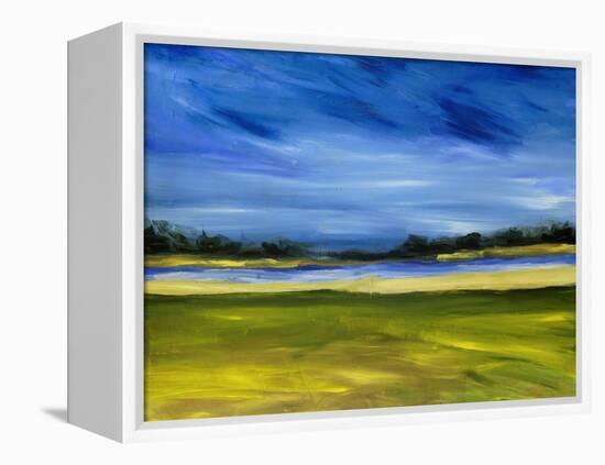 Bright Marsh III-Erin McGee Ferrell-Framed Stretched Canvas