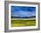 Bright Marsh III-Erin McGee Ferrell-Framed Art Print