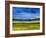 Bright Marsh III-Erin McGee Ferrell-Framed Art Print