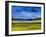 Bright Marsh III-Erin McGee Ferrell-Framed Art Print