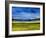 Bright Marsh III-Erin McGee Ferrell-Framed Art Print