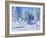 Bright Morning and Snow Covered Trees, Morzine-Andrew Macara-Framed Giclee Print