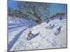 Bright Morning, Chatsworth, 2013-Andrew Macara-Mounted Giclee Print