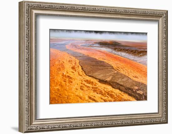 Bright Orange Bacterial Formations at the Geysers in Yellowstone National Park-SNEHITDESIGN-Framed Photographic Print