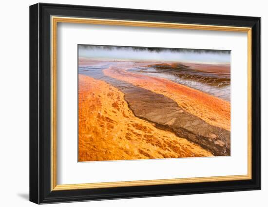 Bright Orange Bacterial Formations at the Geysers in Yellowstone National Park-SNEHITDESIGN-Framed Photographic Print