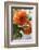 Bright orange flowers on display on kitchen table-Stacy Bass-Framed Photo