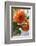 Bright orange flowers on display on kitchen table-Stacy Bass-Framed Photo