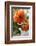 Bright orange flowers on display on kitchen table-Stacy Bass-Framed Photo