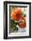 Bright orange flowers on display on kitchen table-Stacy Bass-Framed Photo