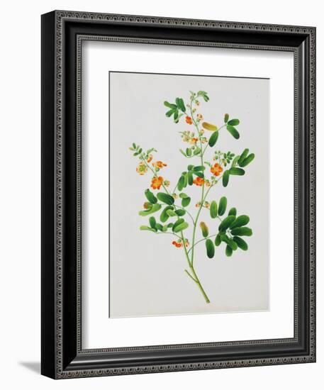 Bright Orange Flowers with Oval Green Leaves-null-Framed Giclee Print
