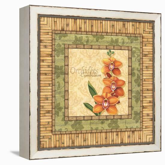 Bright Orchids II-Charlene Audrey-Framed Stretched Canvas