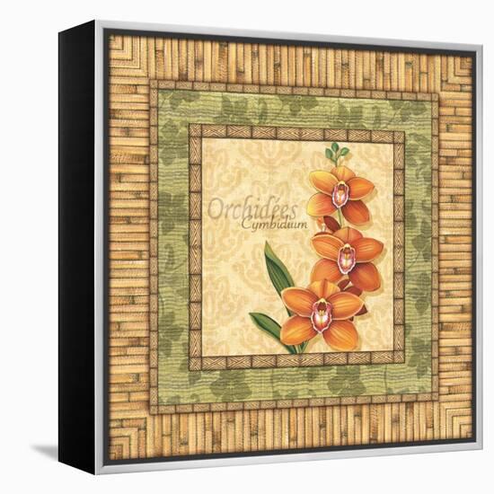 Bright Orchids II-Charlene Audrey-Framed Stretched Canvas