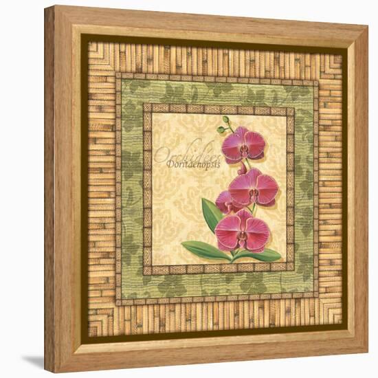 Bright Orchids IV-Charlene Audrey-Framed Stretched Canvas