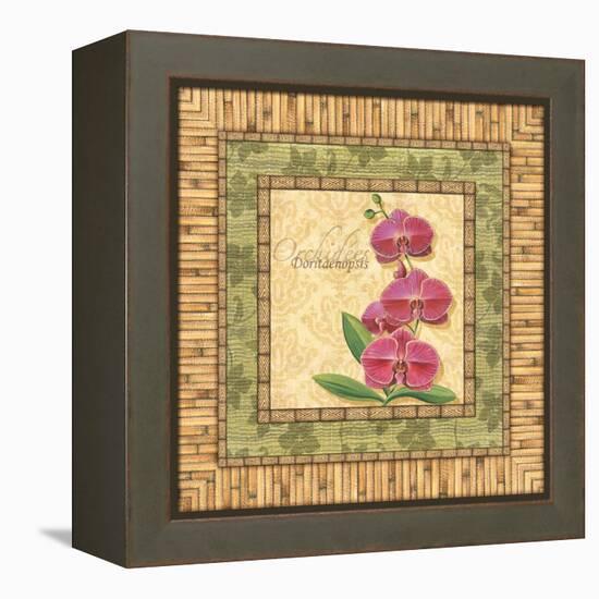 Bright Orchids IV-Charlene Audrey-Framed Stretched Canvas