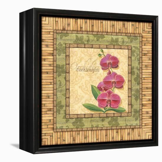 Bright Orchids IV-Charlene Audrey-Framed Stretched Canvas