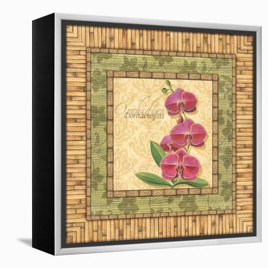 Bright Orchids IV-Charlene Audrey-Framed Stretched Canvas