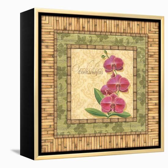 Bright Orchids IV-Charlene Audrey-Framed Stretched Canvas