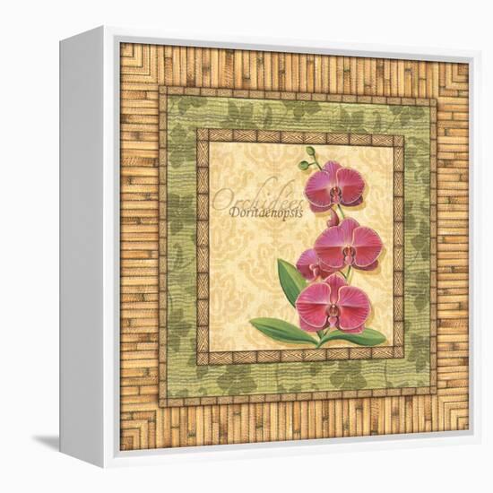 Bright Orchids IV-Charlene Audrey-Framed Stretched Canvas