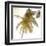 Bright Palm Gold 1-Kimberly Allen-Framed Art Print