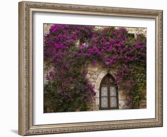 Bright Pink Bougainvillea, Eze, Provence, France-Wendy Kaveney-Framed Photographic Print