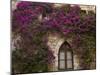 Bright Pink Bougainvillea, Eze, Provence, France-Wendy Kaveney-Mounted Photographic Print