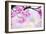 Bright Pink Cherry Blossoms in Soft Pastel Pink, Blue and Yellow Background.-landio-Framed Photographic Print