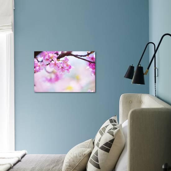 Bright Pink Cherry Blossoms In Soft Pastel Pink Blue And Yellow