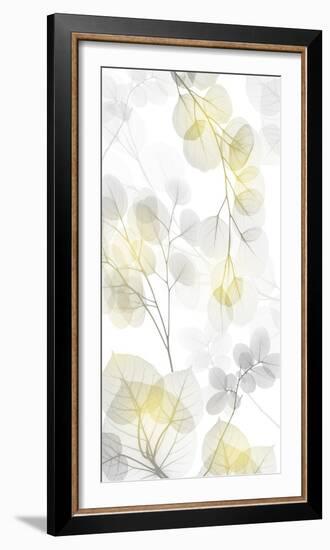 Bright Reach 2-Albert Koetsier-Framed Photographic Print