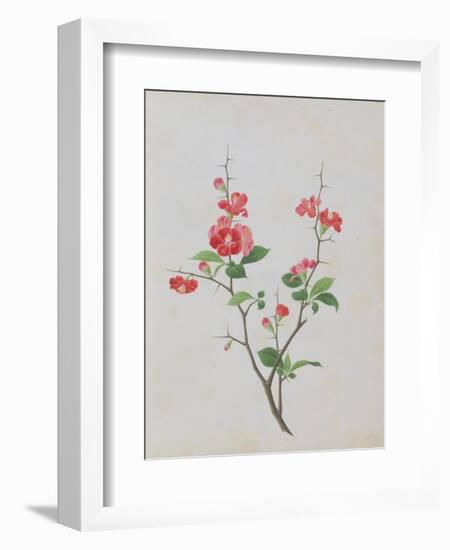 Bright Red Flowers, Thorns and Small Leaves-null-Framed Giclee Print