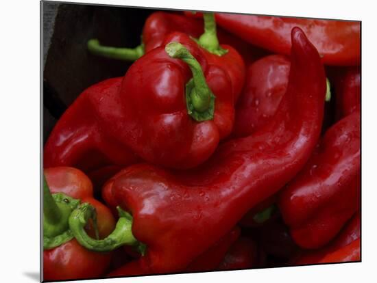 Bright Red Peppers at Farmers Market, Portland, Maine-Nance Trueworthy-Mounted Photographic Print