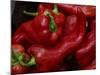 Bright Red Peppers at Farmers Market, Portland, Maine-Nance Trueworthy-Mounted Photographic Print
