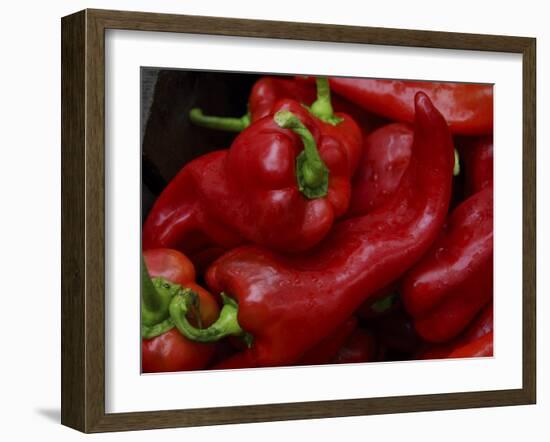 Bright Red Peppers at Farmers Market, Portland, Maine-Nance Trueworthy-Framed Photographic Print