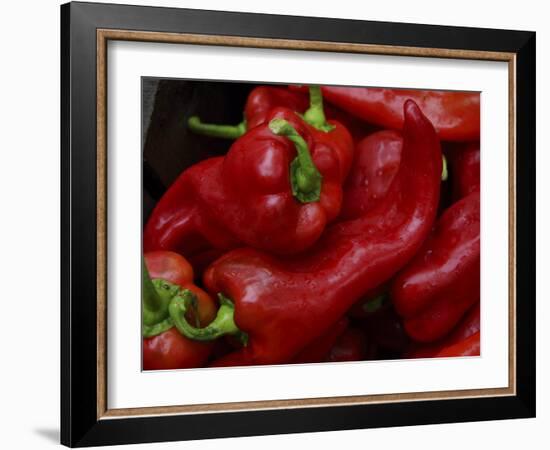 Bright Red Peppers at Farmers Market, Portland, Maine-Nance Trueworthy-Framed Photographic Print