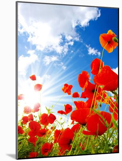 Bright Red Poppies-Ale-ks-Mounted Photographic Print