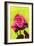 Bright Rose, 1980s-George Adamson-Framed Giclee Print