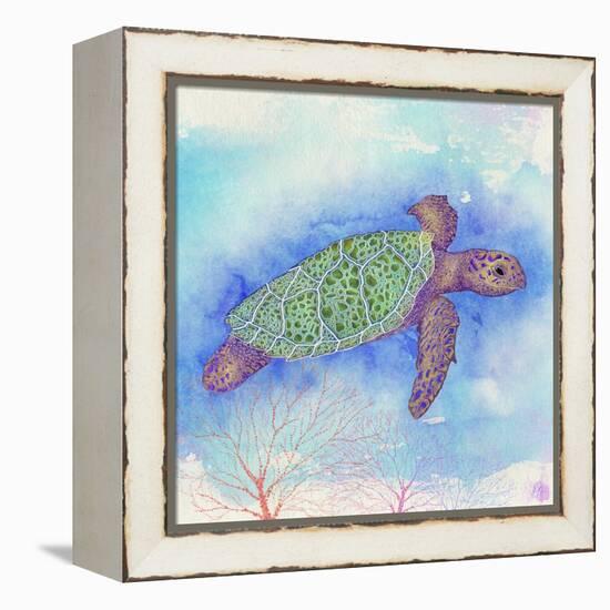 Bright Sea turtle-Kimberly Glover-Framed Premier Image Canvas