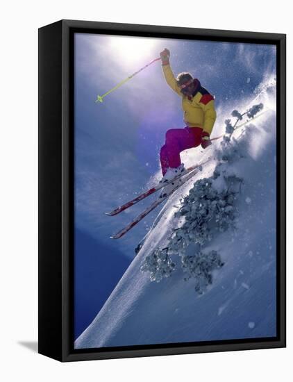 Bright Ski Scene-null-Framed Premier Image Canvas