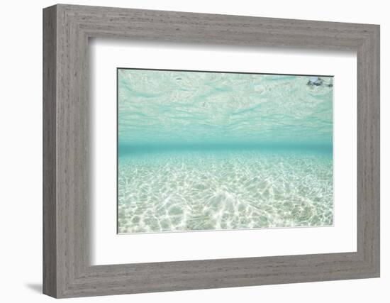 Bright Sunlight Dances across a Shallow Sand Seafloor in Palau-Stocktrek Images-Framed Photographic Print