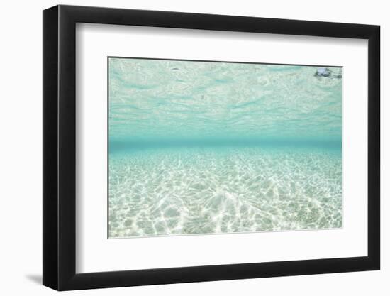 Bright Sunlight Dances across a Shallow Sand Seafloor in Palau-Stocktrek Images-Framed Photographic Print