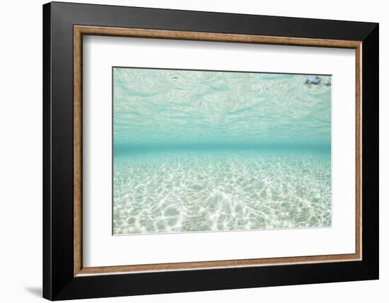 Bright Sunlight Dances across a Shallow Sand Seafloor in Palau-Stocktrek Images-Framed Photographic Print