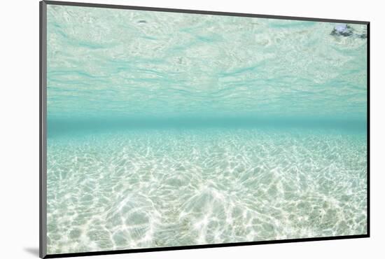Bright Sunlight Dances across a Shallow Sand Seafloor in Palau-Stocktrek Images-Mounted Photographic Print