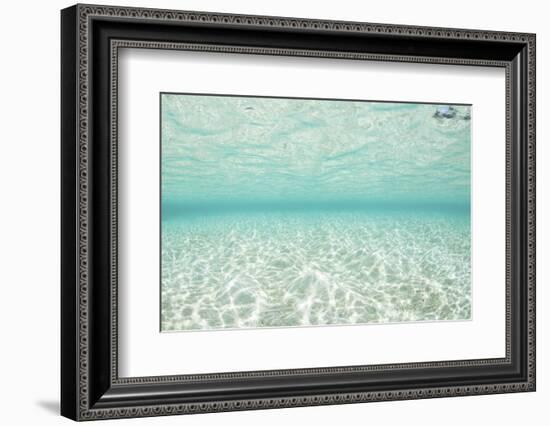 Bright Sunlight Dances across a Shallow Sand Seafloor in Palau-Stocktrek Images-Framed Photographic Print