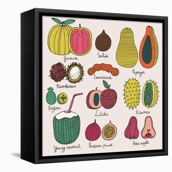 Bright Tropical Fruit Set in Vector. Guava, Salak, Papaya, Rambutan, Tamarind, Feijoa, Litchi, Kiwa-smilewithjul-Framed Stretched Canvas