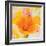 Bright Tulips I-Albena Hristova-Framed Premium Giclee Print