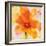 Bright Tulips II-Albena Hristova-Framed Premium Giclee Print