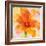 Bright Tulips II-Albena Hristova-Framed Premium Giclee Print