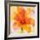 Bright Tulips II-Albena Hristova-Framed Premium Giclee Print