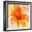 Bright Tulips II-Albena Hristova-Framed Premium Giclee Print